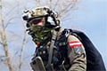 Австрия одобрила реформу военной службы