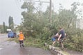 Непогода прошла по Гомельской и Витебской областям
