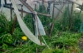 Фотофакт: Лида и Молодечно после ночной бури