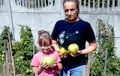Белоруска вырастила помидоры-гиганты