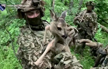 Місія «Бэмбі»: украінскі спецназ узяў у палон акупантаў і выратаваў аленяня