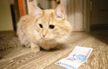 «Откладывать бы хоть 1000 рублей в месяц»