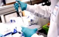 Акцыі Moderna узляцелі на 160% пасля паспяховага выпрабавання вакцыны супраць раку