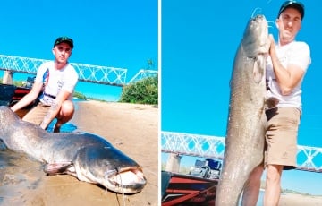 В Припяти поймали гигантского сома размером с человека