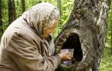 Беларуска аднесла ў лес $10 тысяч і пакінула іх у дупле