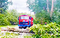 В Беларуси стихия срывала крыши и валила деревья