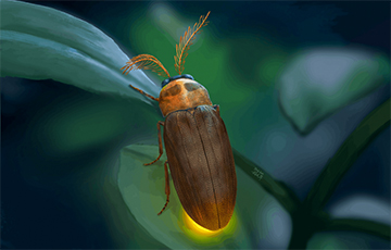 Scientists Have Discovered An Ancient Insect With A Unique Defense Mechanism