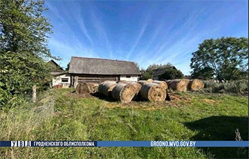 В Гродненской области задержали «соломенных воров»