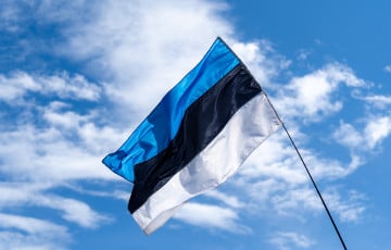 Estonia Is Discussing Cooperation With The U.S. In The Field Of Rare Earth Metals