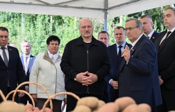 «Ненадолго мне стало жаль Лукашенко»