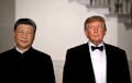 Трамп и Си обсудили ситуацию в Украине во время встречи в Белом доме