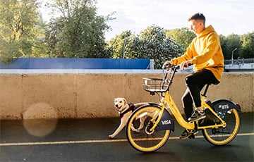 Пионер белорусского велошеринга Kolobike банкротится