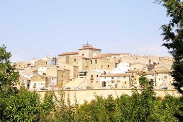 The Roseto Mystery: Why An Entire Town Lived Without Heart Attacks