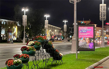 Минску фиолетово