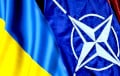 НАТО и Украина разработали модели ИИ для боевых задач