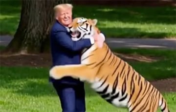 Трамп опубликовал видео, где обнимает тигра, загрызшего британца в зоопарке