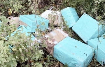 В Польшу вторглись воздушные шары из Беларуси