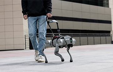Людям начали платить за выгул роботов-собак