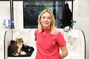 «Завидую коту»