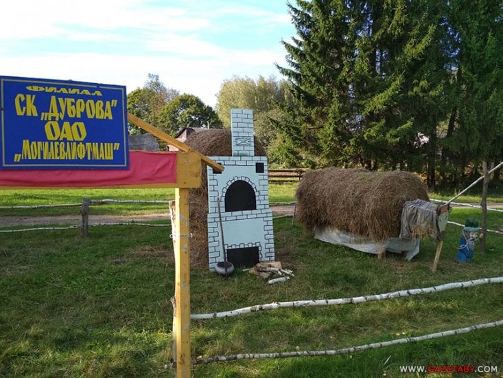 Дожинки в беларуси фото