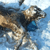 Dead pigs, cows and calves found in Lukashenka's home land (Photo)