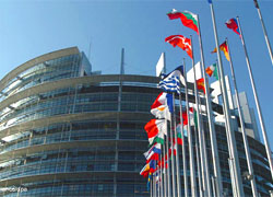 Delegation of European parliament supports economic sanctions against Lukashenka