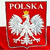 Коморовский победил на выборах президента Польши (Обновлено)