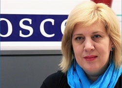 OSCE representative condemns arrest of Barazenka