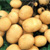 Житель Барановичей вырастил картошку весом в килограмм