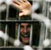 “My whole family was arrested: two daughters and son-in-law”