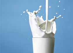 В регионах пропало дешевое молоко