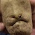 В Мозыре электричество добывают из картофеля (Видео)