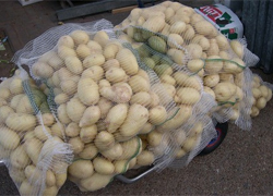 Russia accuses Belarus of potatoes smuggling