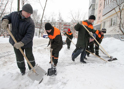 FIDH: В Беларуси широко используется принудительный труд (Документ)