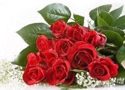Беларусы ўважаюць за лепшае дарыць ружы, хрызантэмы і гваздзікі