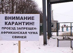 Ветслужба Украины: Беларусь игнорирует запросы о ситуации в Незнаново