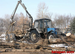 Власти пошли на разговор только после варварской вырубки парка