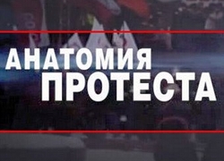 «Новая газета» узнала подробности съемок «Анатомии протеста»