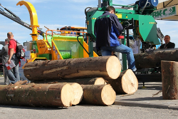 «Модернизация» деревообработки обошлась Беларуси в €1 миллиард
