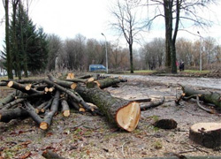За протест против вырубки деревьев — на комиссию
