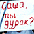«Молодофронтовцев» арестовали за плакат «Саша, ты дурак?»