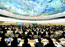 Совет ООН по правам человека примет резолюцию по Беларуси