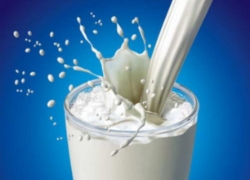 Белорусское молоко может потерять российский рынок