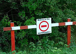 Белорусам запретили ходить в лес