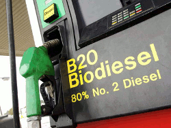 Белорусский биодизель в Украину будет поставлять неизвестная компания