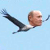 Пуцін лётаў са зграяй жураўлёў, вырашчаных у няволі