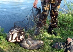 Под Пинском браконьеры наловили рыбы на 64 миллиона