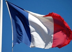 На выборах во Франции лидирует партия Саркози