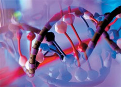 Биологи научились составлять фоторобот по ДНК
