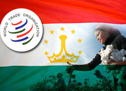 Таджикистан принят в ВТО